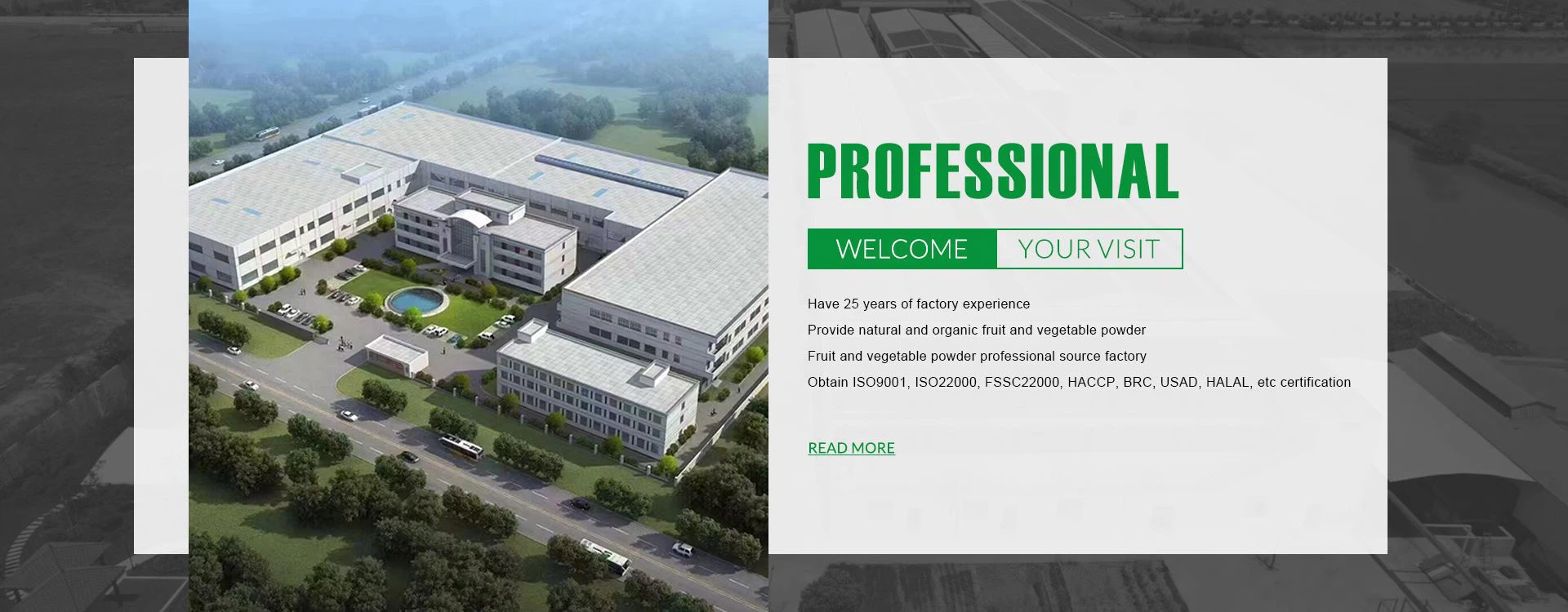 Professional Fruit and Vegetable Powder Supplier