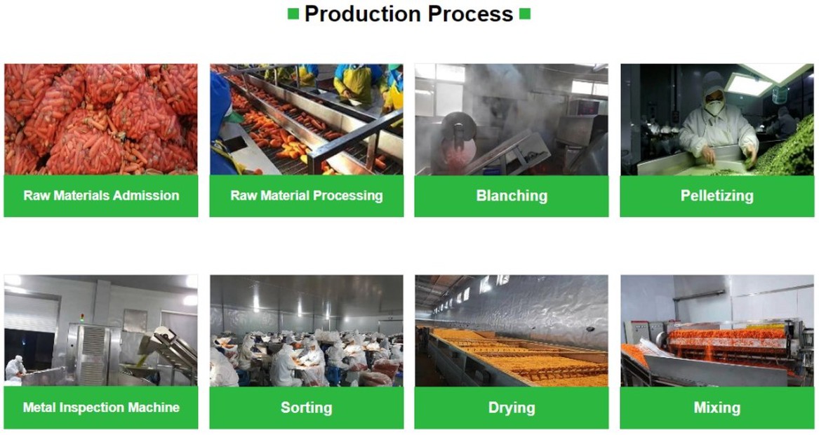 Create a flow chart Create a flow chart